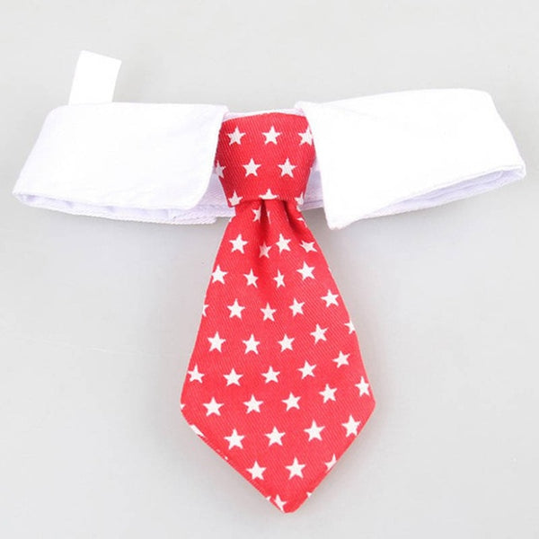 Pet Ties