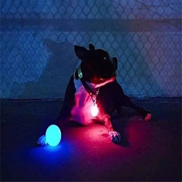 Pet Ball toy LED Glowing Streak Dog Ball Blinking Small dog cat Pet Toys Lights Up Supplies