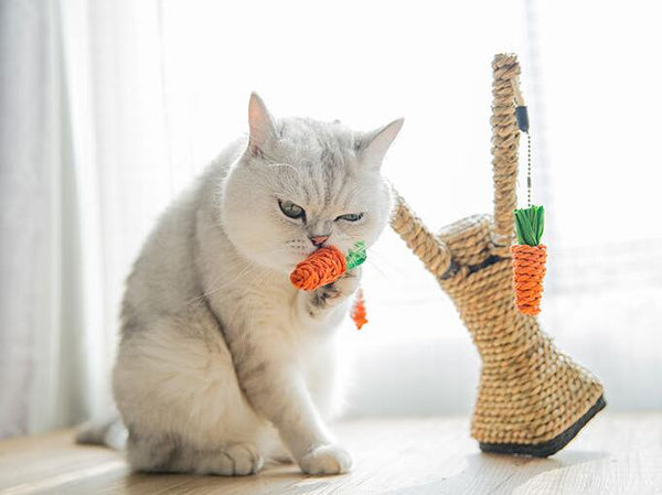 Mejor Pets Cat Tree Tower Furniture Kitten Playhouse Sisal Scratching Posts