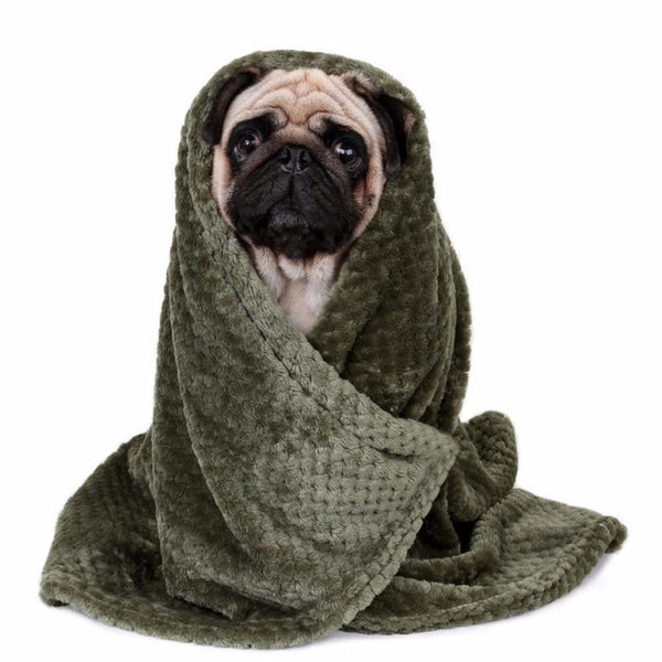 Mejor Pets Warm Pet Dog Blanket