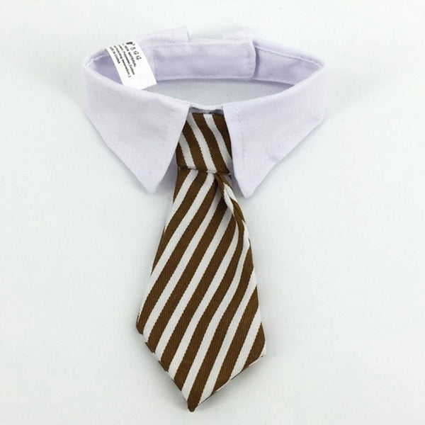 Pet Ties