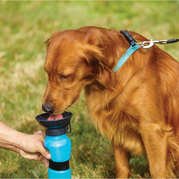 Mejor Pets Dog Travel Water Bottle Dispenser Plastic Dog Cat Drinking Water Feeder.