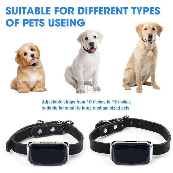 Mejor Pets New Arrival IP67 Waterproof Pet Collar GSM AGPS Wifi LBS Mini Light GPS Tracker for Pets Dogs Cats Cattle Sheep Tracking Locator