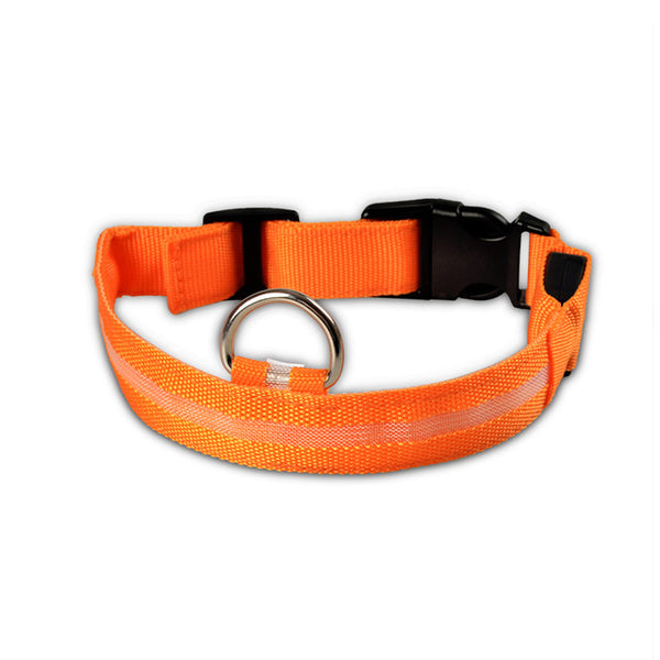 Mejor Pets Nylon LED Pet dog Collar,Night Safety Flashing Glow In The Dark Dog Leash