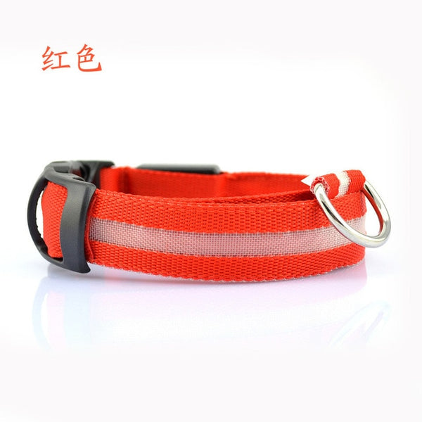 Mejor Pets Nylon LED Pet dog Collar,Night Safety Flashing Glow In The Dark Dog Leash
