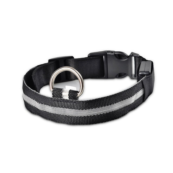 Mejor Pets Nylon LED Pet dog Collar,Night Safety Flashing Glow In The Dark Dog Leash