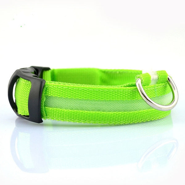 Mejor Pets Nylon LED Pet dog Collar,Night Safety Flashing Glow In The Dark Dog Leash