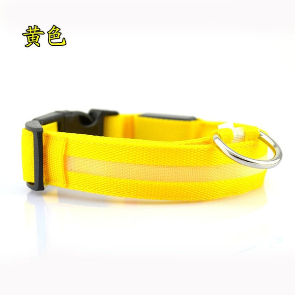 Mejor Pets Nylon LED Pet dog Collar,Night Safety Flashing Glow In The Dark Dog Leash