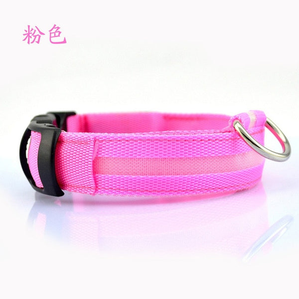 Mejor Pets Nylon LED Pet dog Collar,Night Safety Flashing Glow In The Dark Dog Leash