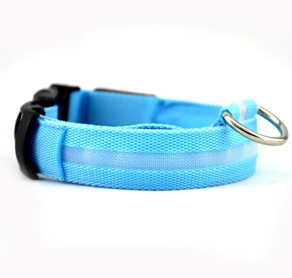 Mejor Pets Nylon LED Pet dog Collar,Night Safety Flashing Glow In The Dark Dog Leash