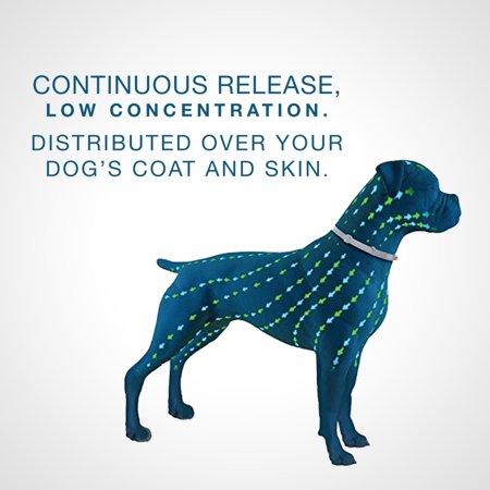 Seresto Flea and Tick Prevention Collar for Large Dogs, 8 Month Flea and Tick Prevention